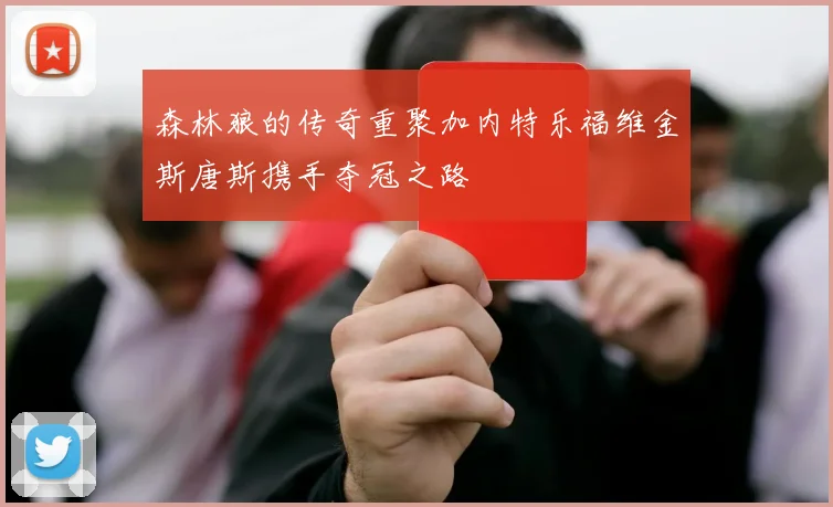 森林狼的传奇重聚加内特乐福维金斯唐斯携手夺冠之路