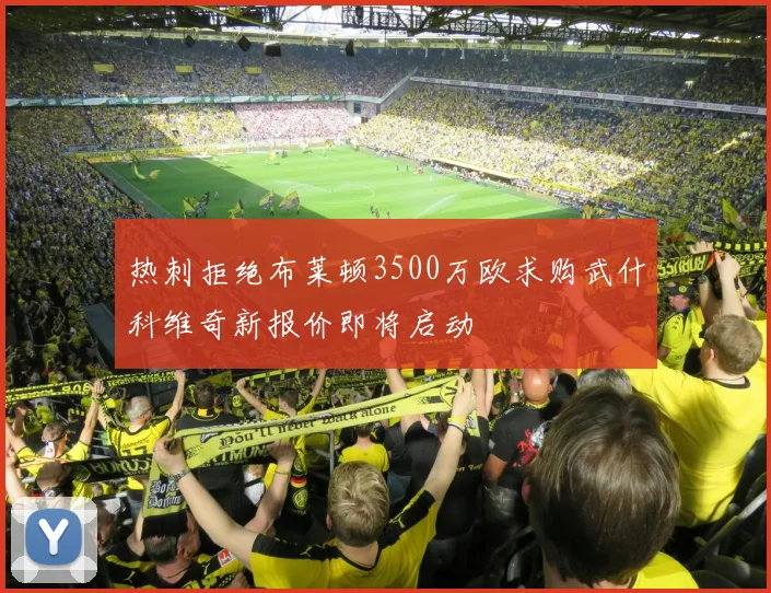 热刺拒绝布莱顿3500万欧求购武什科维奇新报价即将启动