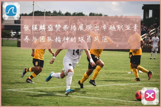 张镇麟盛赞弗格展现出卓越职业素养与团队精神的球员风范
